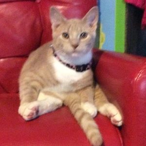 Meet your Posher, Dia